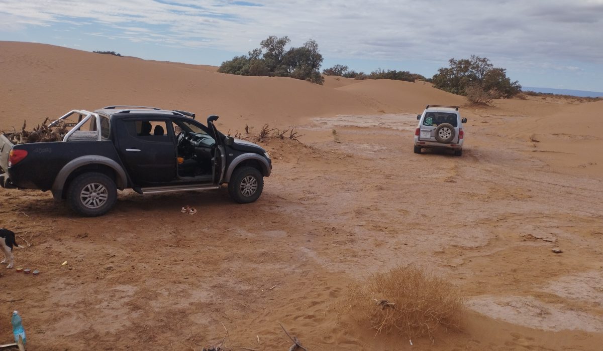 desert 4*4
